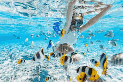 sd-point-snorkeling-nusa-penida