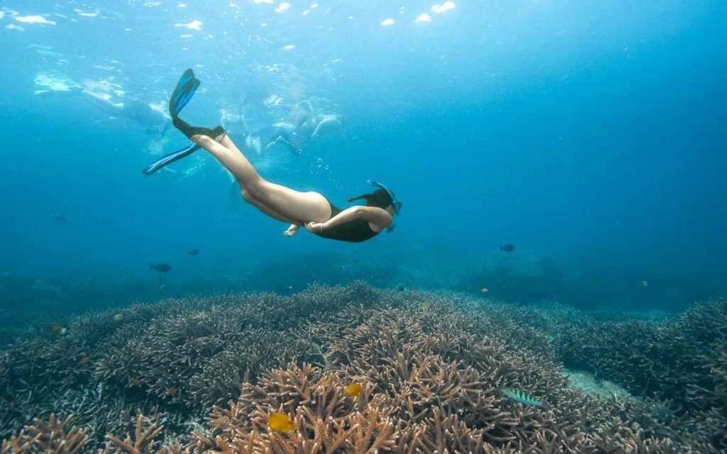 crystal-bay-snorkeling-nusa-penida