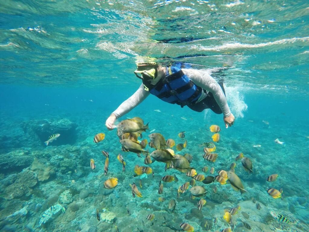 wall-point-snorkeling-nusa-penida