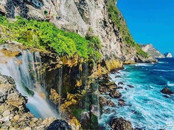 271954984 2425069250960355 693555938076109238 n 11zon edited